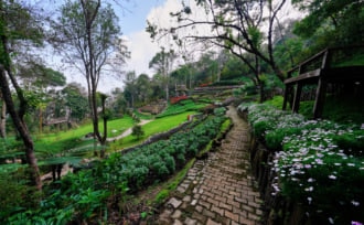 チェンライのメー・ファ・ルアン地区のドイ・チャン・マップにあるメー・ファ・ルアン樹木園