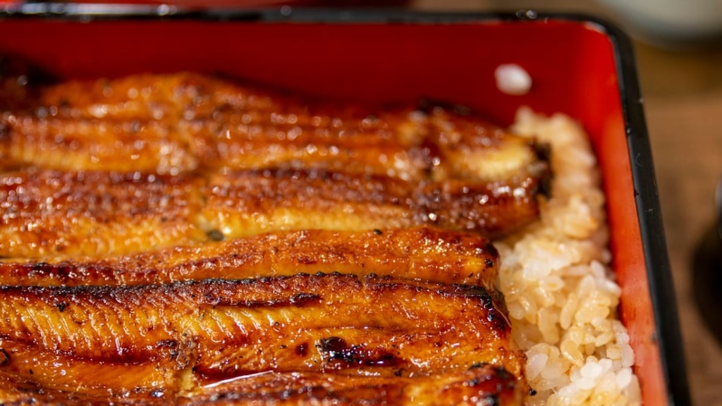 【鎌倉グルメ旅2020】つるやの絶品の鰻料理！古都のディナーで贅沢な時間を