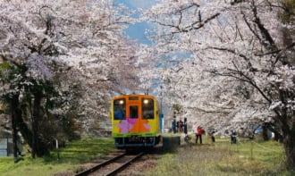 樽見鉄道 谷汲口駅の桜