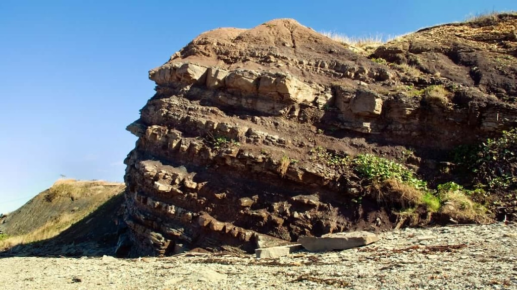 化石だらけの15km！世界遺産ジョギンズ化石断崖の魅力とは