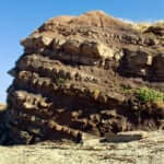 ジョギンズ化石断崖