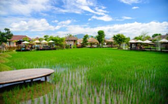 タイ サーラピーの美しい田園風景