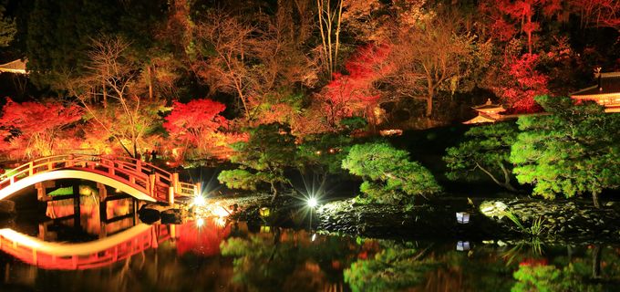 奥州市（江刺・水沢）