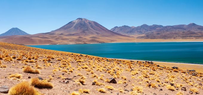 アントファガスタ