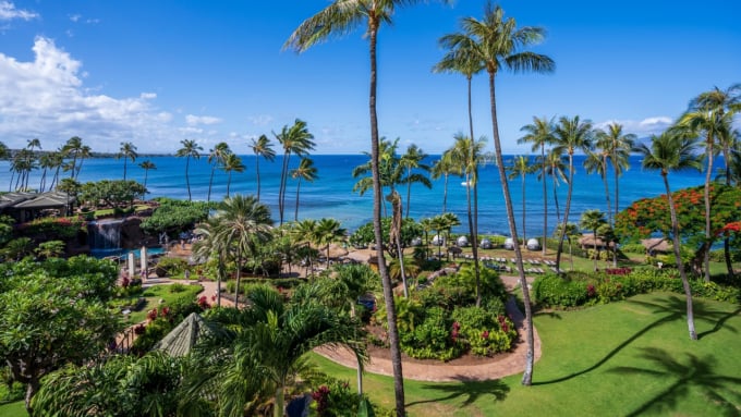 ハワイの人々が絶賛するマウイ島で必ず訪れたい観光スポット12選 Skyticket 観光ガイド
