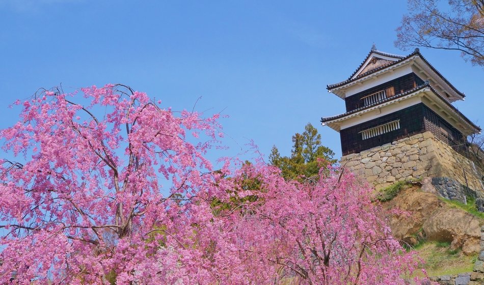 真田氏発祥の郷！長野県・上田市のおすすめのお祭り4選！