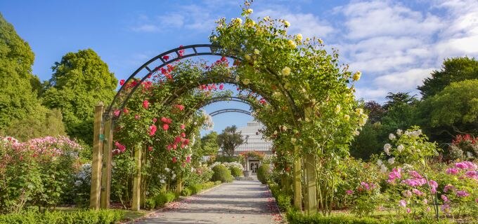 クライストチャーチ