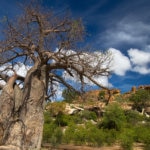 マプングブエの文化的景観（南アフリカ世界遺産）