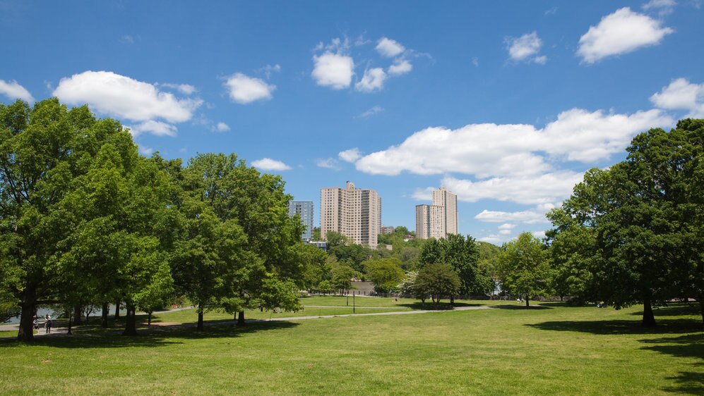 ニューヨーク州ブロンクスエリアのオススメ穴場スポット３選