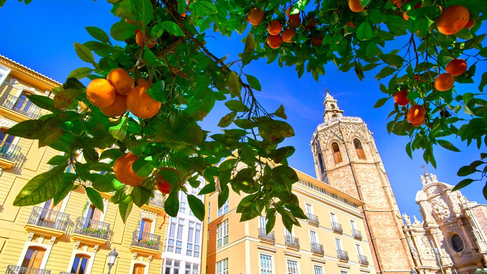 オレンジとパエリアの町バレンシアのお土産おすすめ４選をご紹介 Skyticket 観光ガイド