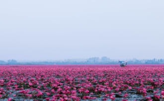ウドンタニの日の出の紅蓮の海、まだ見たことのないタイの景色