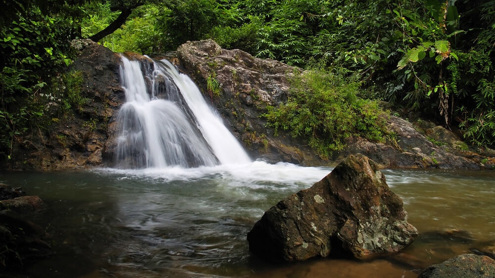 ドンパヤーイェン－カオヤイ森林群・タイ6県にまたがる世界自然遺産