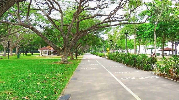 シンガポール・イーストコーストの公園で楽しく体を動かそう！