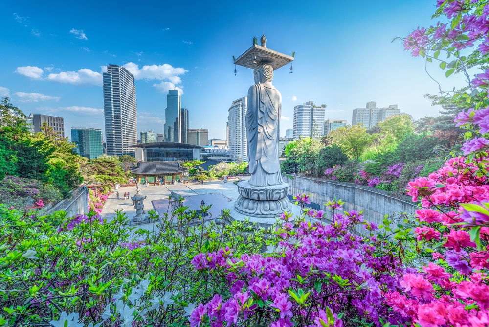韓国ソウルの観光おすすめ 人気の定番スポット39選 Skyticket観光ガイド Skyticket 観光ガイド