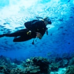 宮古島　ダイビング