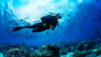 宮古島　ダイビング