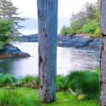 スカン・グアイ