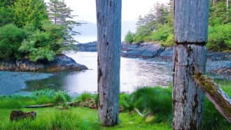 スカン・グアイ