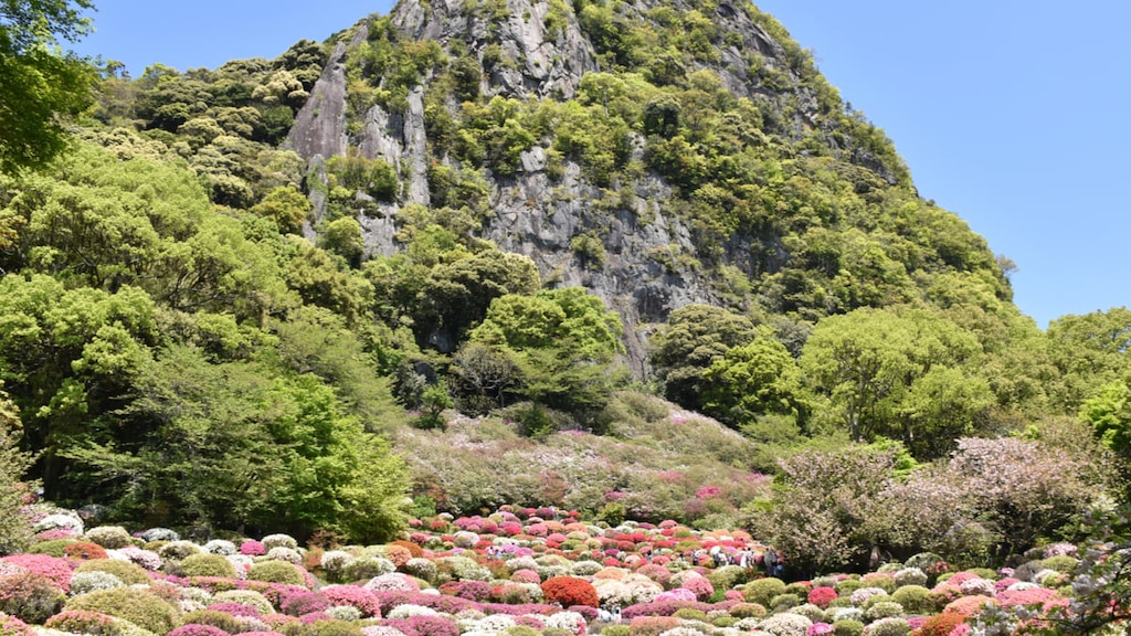 【御船山楽園】つつじと紅葉が圧巻の名庭園を一生に1度は拝もう！