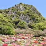 ツツジが美しい御船山楽園の風景