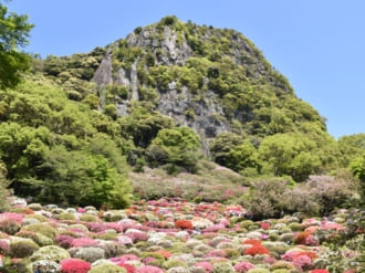 ツツジが美しい御船山楽園の風景