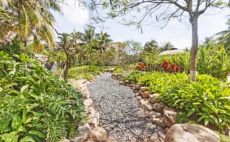 ケアンズボタニックガーデンズ｜まるでジャングル。無料の熱帯雨林植物園