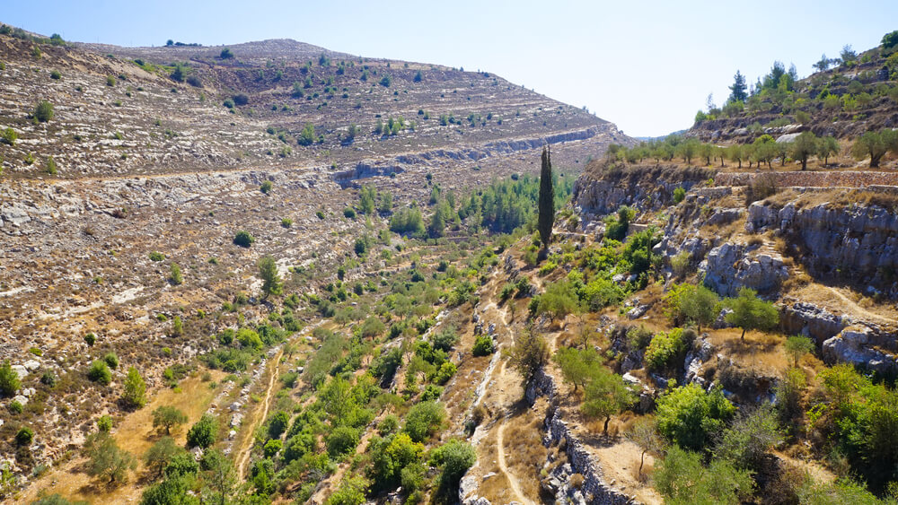 パレスチナ、オリーブとワインの地－エルサレム南部バティールの文化的景観