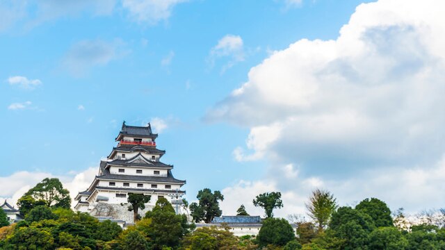 佐賀県唐津市のおすすめホテル 海を臨むホテルで呼子の活きイカを食べよう Skyticket 観光ガイド