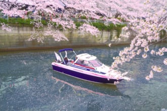 目黒川でクルーザー運航。