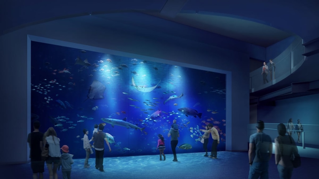 四国最大級の水族館、「四国水族館」が2020年3月20日に開業！