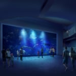 四国水族館がオープン