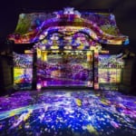 NAKED FLOWERS 2021 －桜－ 世界遺産・二条城
