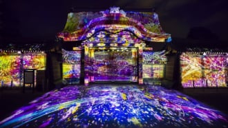 NAKED FLOWERS 2021 －桜－ 世界遺産・二条城