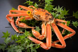 越前ガニ（イメージ）