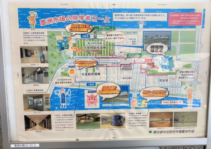 豊洲市場 案内マップ