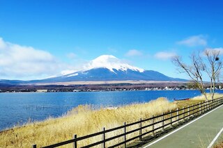 山中湖・忍野