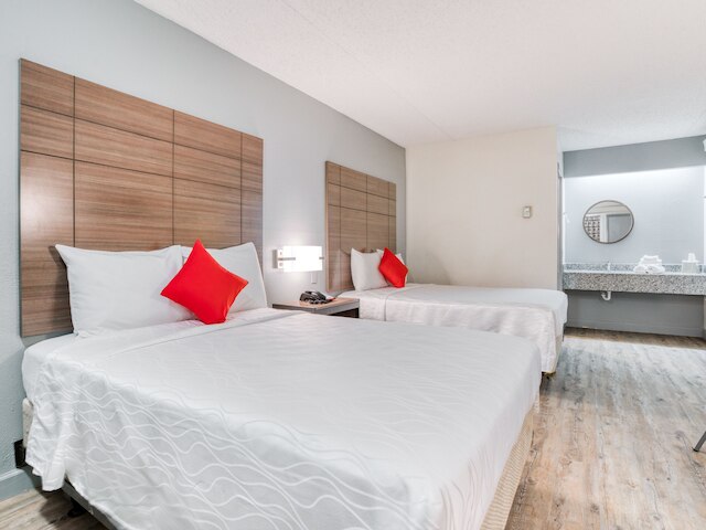 ダラス ラブ フィールド イン