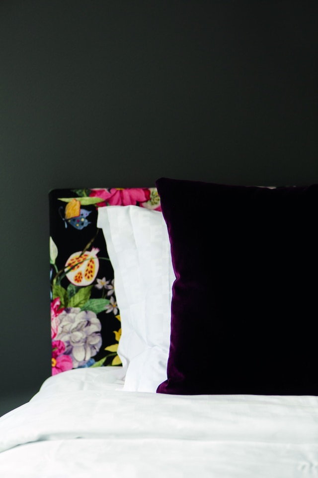 エリート パレス ホテル & スパ