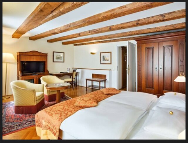 ラディソン ブル ホテル アルトシュタット