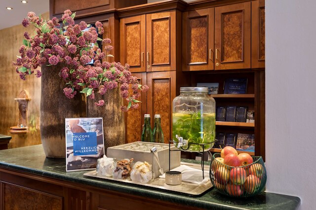 ラディソン ブル ホテル アルトシュタット