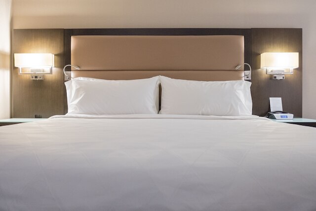 ホリデイ イン & スイーツ バンクーバー ダウンタウン by IHG