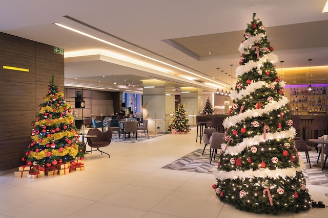 クラウン プラザ デュッセルドルフ-ノイス by IHG