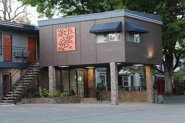 ザ バイン イン デイビス