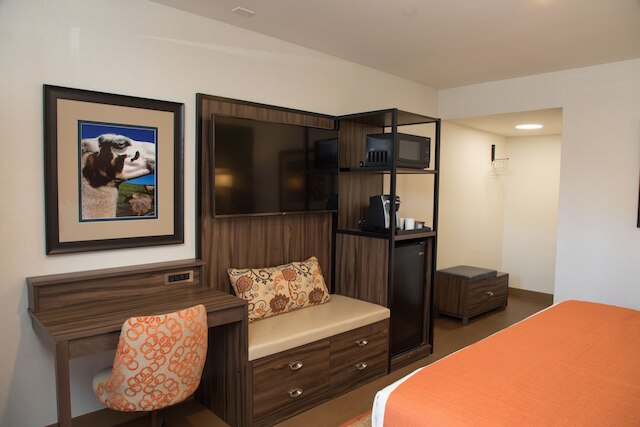 ザ バイン イン デイビス