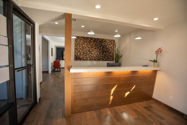 ザ バイン イン デイビス