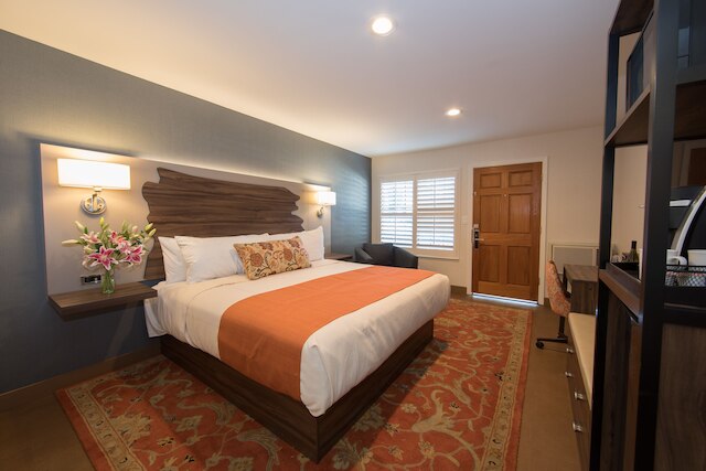 ザ バイン イン デイビス