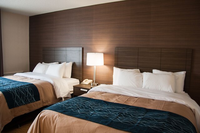 コンフォート イン リーバイス