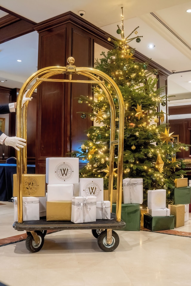 シュタイゲンベルガー アイコン ウィルチャーズ