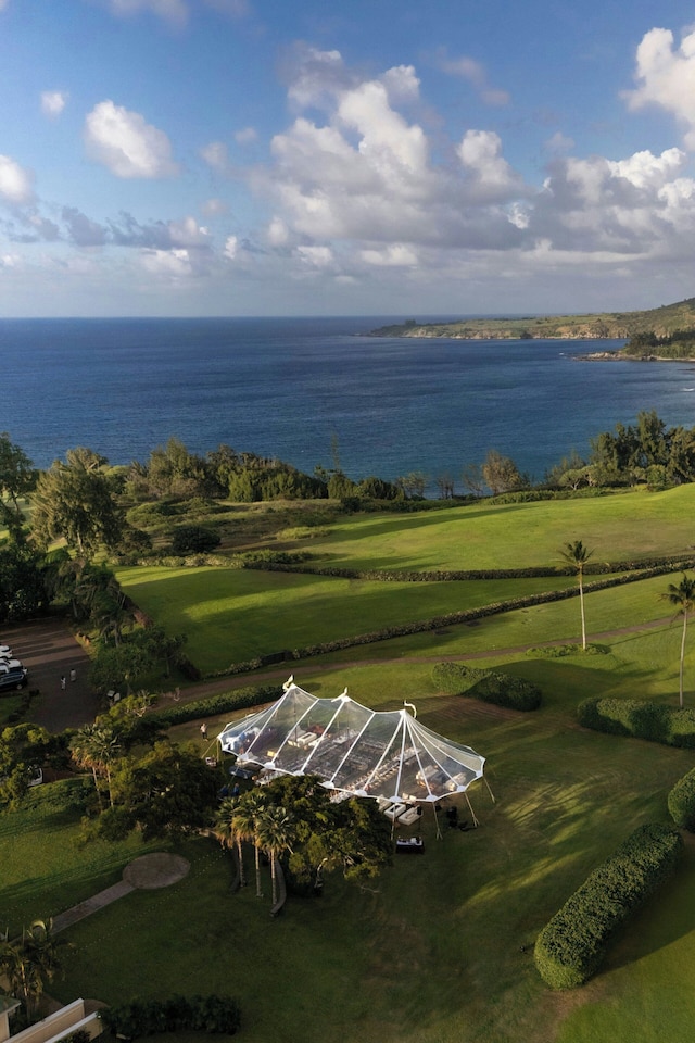 ザ リッツ カールトン マウイ カパルア