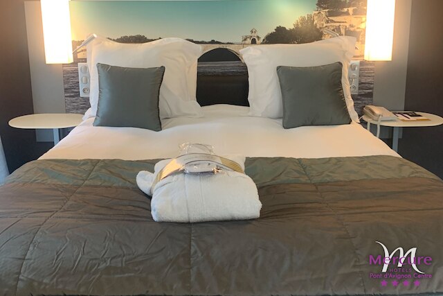 メルキュール ポン ダヴィニョン サントル